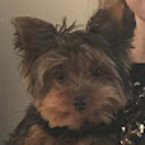 Meet your Posher, Meghan